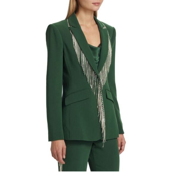 CINQ À SEPT Cheyenne Fringe Embellished Blazer size 2 - Picture 4 of 12